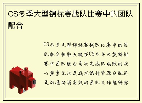 CS冬季大型锦标赛战队比赛中的团队配合