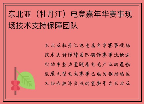 东北亚（牡丹江）电竞嘉年华赛事现场技术支持保障团队