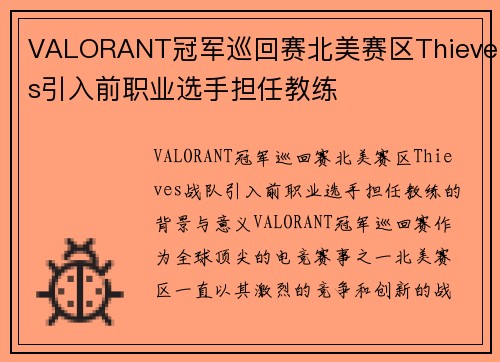 VALORANT冠军巡回赛北美赛区Thieves引入前职业选手担任教练